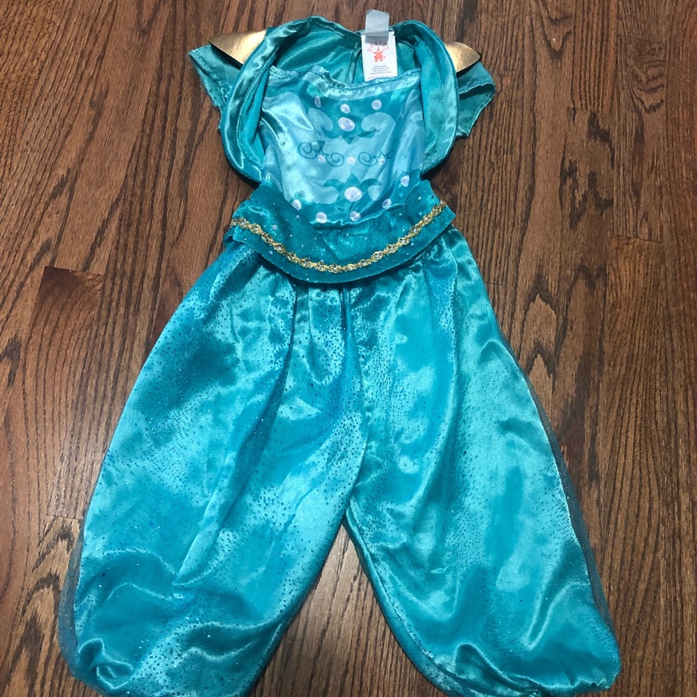 Shimmer &Shine or Princess Jasmine costume shoes.